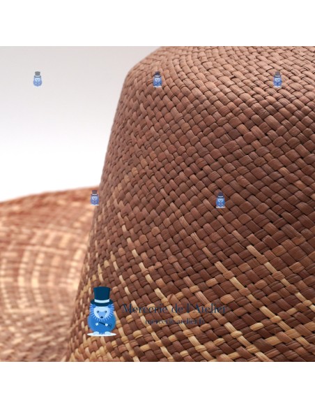 Panama capeline - Naturel en Taupe