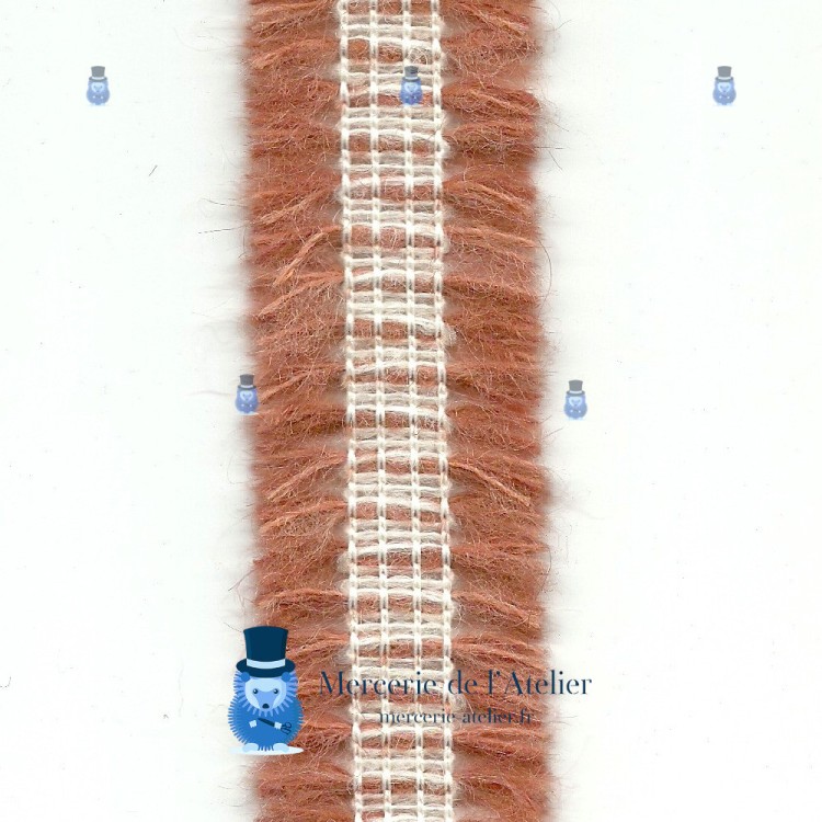 Braid with Fringes Orange - 30mm