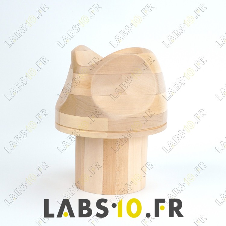 Fedora - Form 11