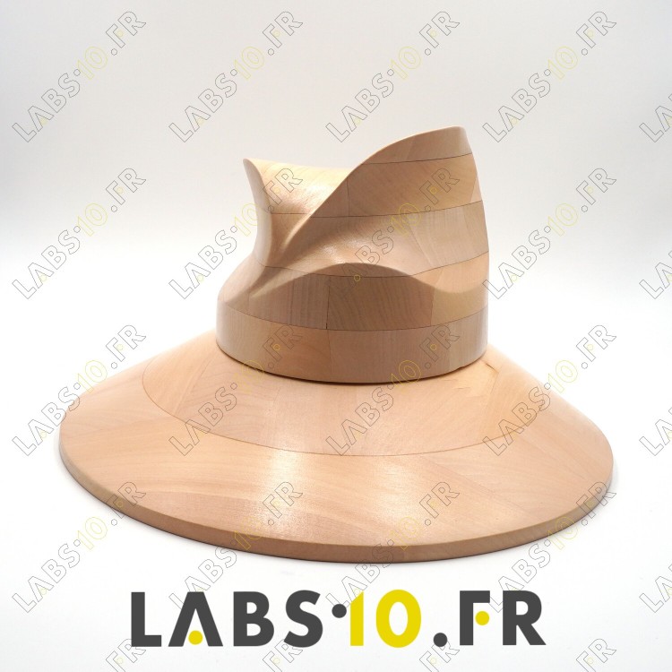 Fedora Asimmetrica - Forma 21