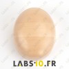 Calotte ronde - Forme 3