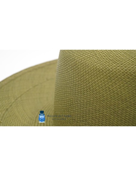 Cappellina panama - Verde Oliva
